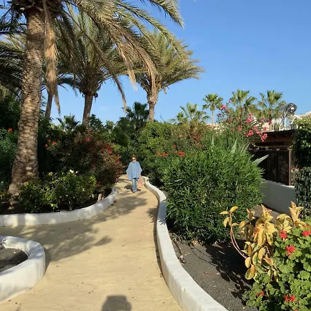 Oasis * プエルト・デル・カルメン