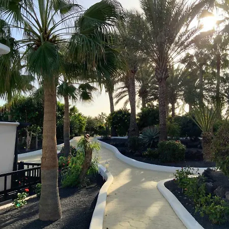 Oasis *